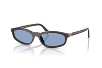 Brown / Blue